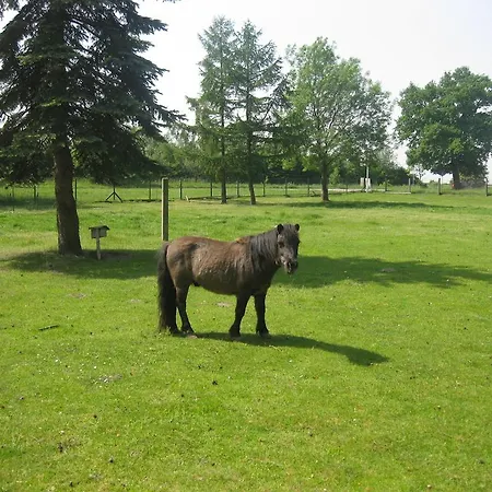 Waldperle בית הארחה